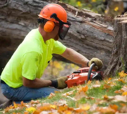 tree services Plantersville